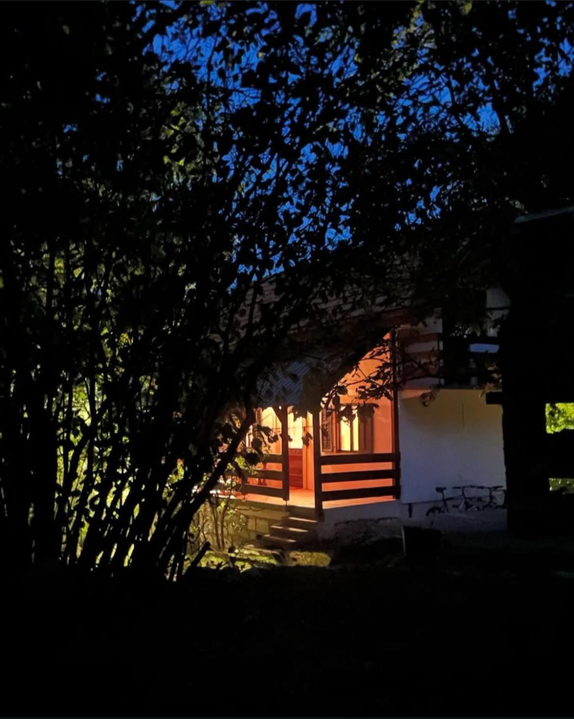Villa Lovcen4Me à Cetinje Extérieur photo